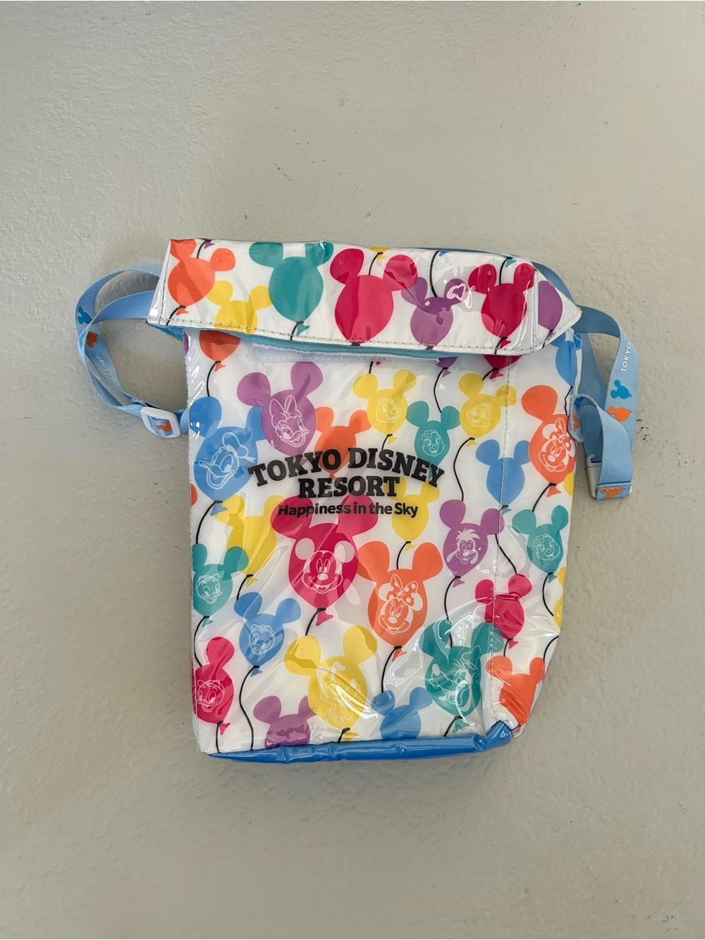 Tokyo Disneyland Popcorn Holder